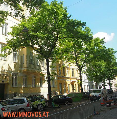 Außenansicht im Frühsommer