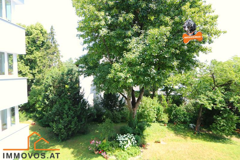 Am Fuße des Schafbergs - 2,5 Zimmer mit BALKONOPTION und Grünblick - idealer Grundriss! /  / 1180&nbsp;Wien 18.,W�hring / Bild 7