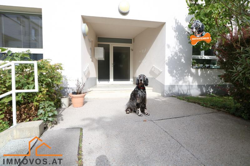 Oscar freut sich aufs Gassi-Gehen