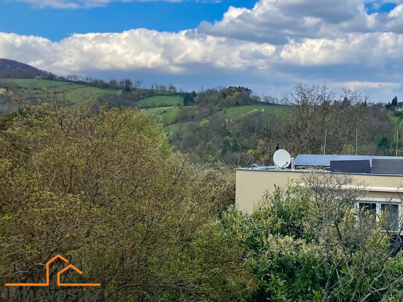 rundum Weite und Grün Blick von der Dachterrasse