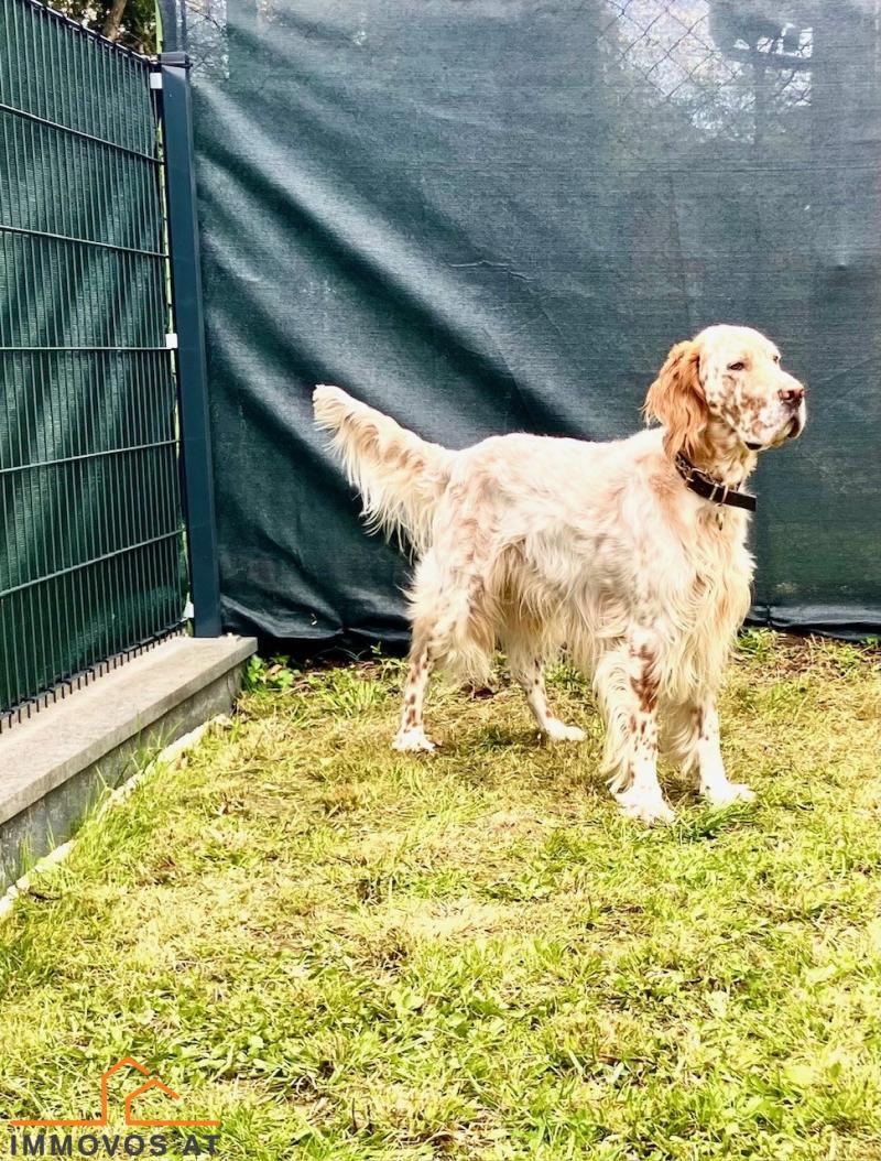 Hackenberg - "TOP OF THE TOP" -  Ihr perfekter Rückzugsort im Grünen mit Panoramablick - Schmuckstück mit Eigengrund in Aussichtslage /  / 1190&nbsp;Wien 19.,D�bling / Bild 6