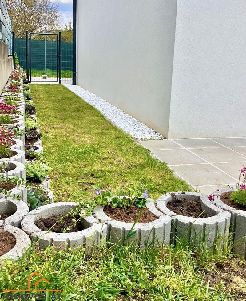 Ein Anfang für den grünen Daumen: