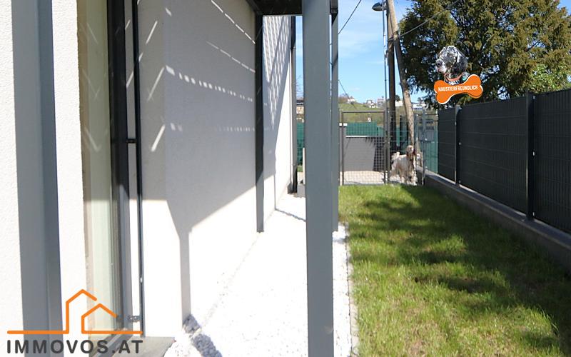 Monti will sich das näher ansehen!