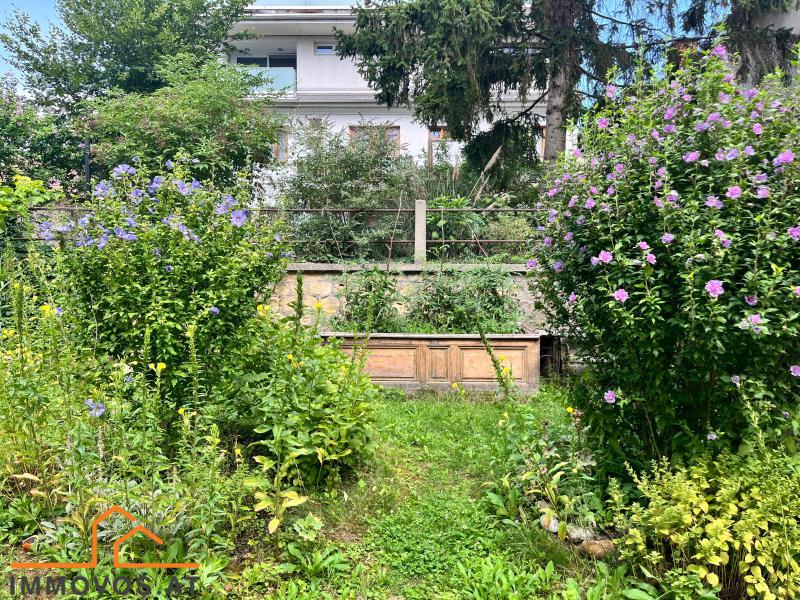 Garten .jpg