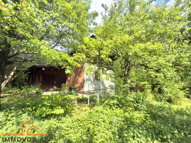 738 m2 WALDRANDLAGE KLEINGARTEN PACHT  /  / 1140&nbsp;Wien 14.,Penzing / Bild 1