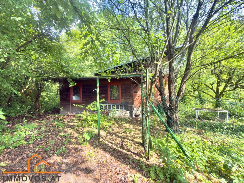 738 m2 WALDRANDLAGE KLEINGARTEN PACHT  /  / 1140&nbsp;Wien 14.,Penzing / Bild 2