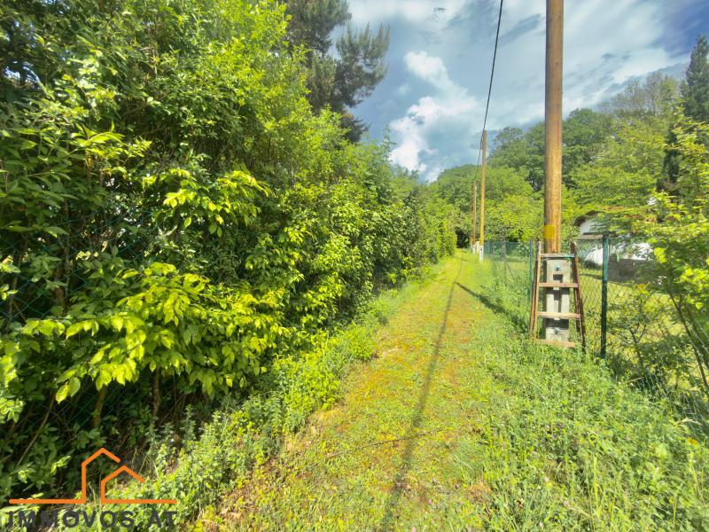738 m2 WALDRANDLAGE KLEINGARTEN PACHT  /  / 1140&nbsp;Wien 14.,Penzing / Bild 5