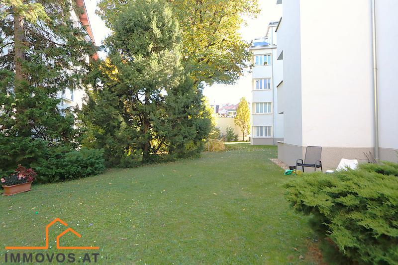 sommerliche Impressionen aus dem Garten