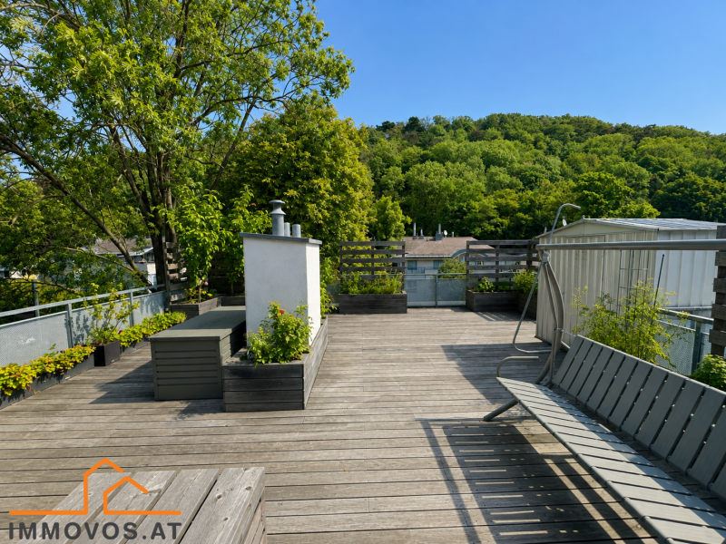 Terrasse 3.png