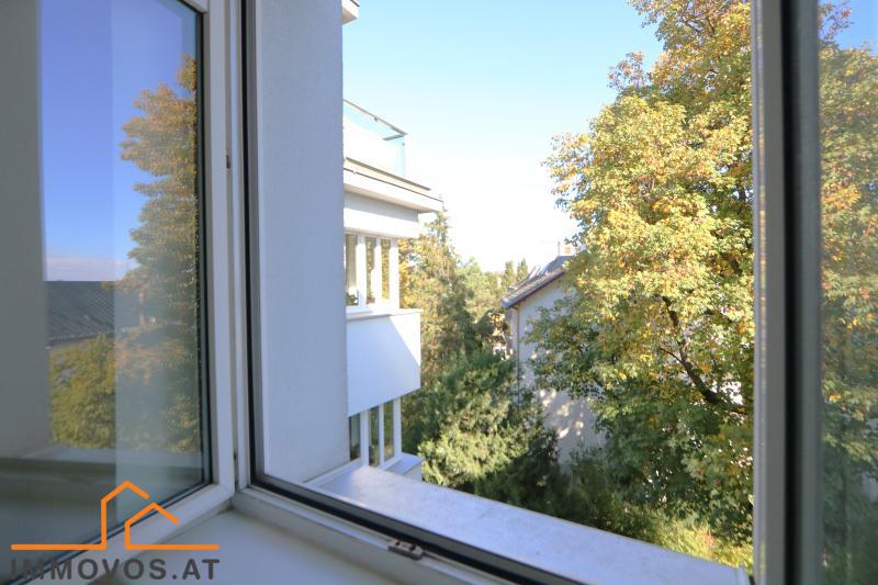Blick aus dem gartenseitigen Raum