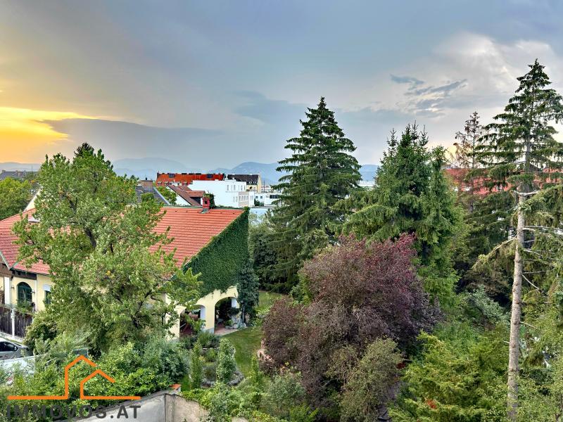 großzügige TERRASSENWOHNUNG mit PKW-Stellplatz / / 2700 Wiener Neustadt / Bild 2