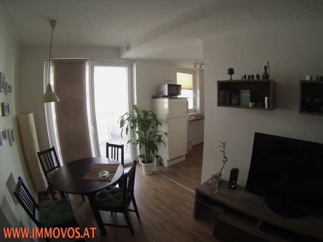 2-ZIMMER MIETWOHNUNG MIT BALKON UND STELLPLATZ AM ANNINGERPARK! /  / 2351&nbsp;Wiener Neudorf / Bild 1