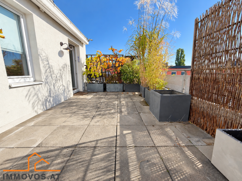Terrasse 2.png