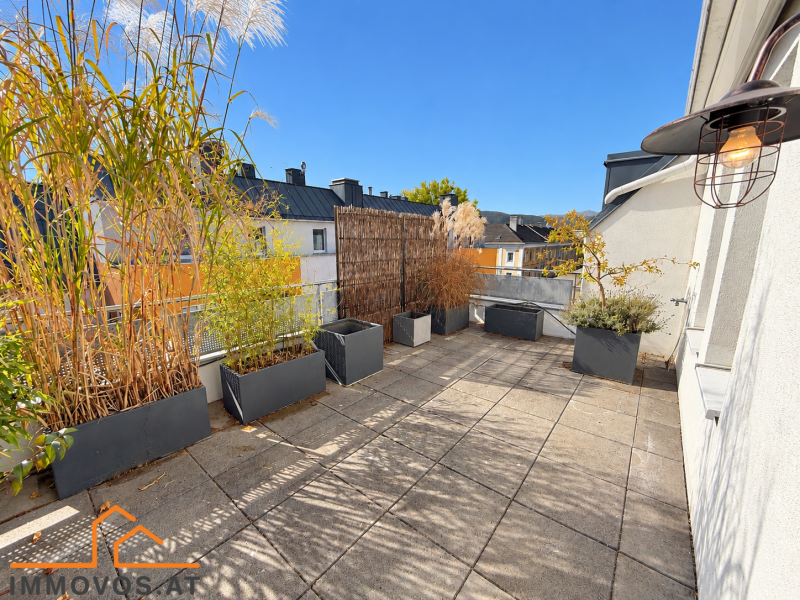 Terrase 1.png